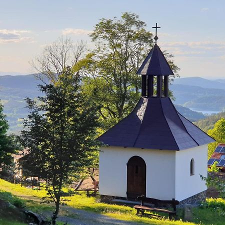 Koenig-In Hotel Hojsova Stráž Bagian luar foto