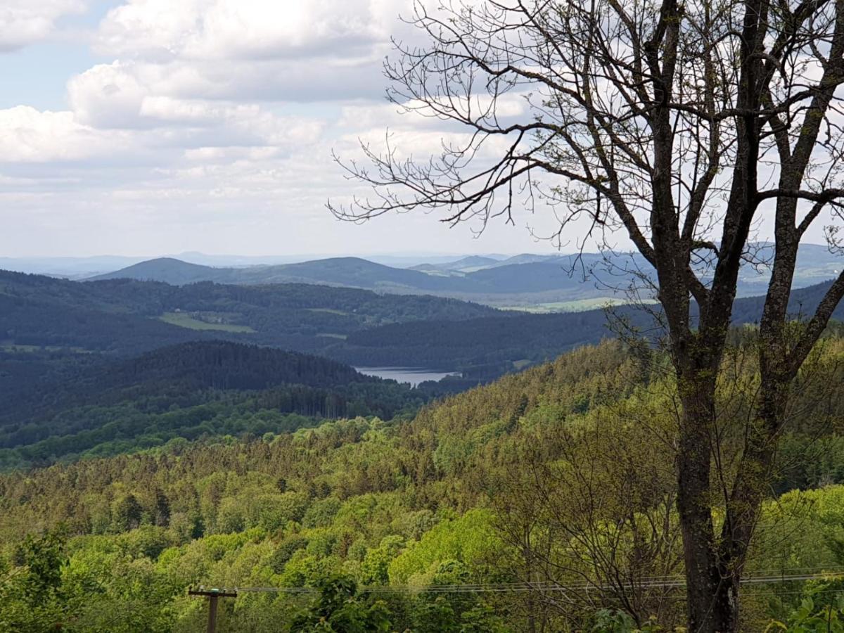 Koenig-In Hotel Hojsova Stráž Bagian luar foto